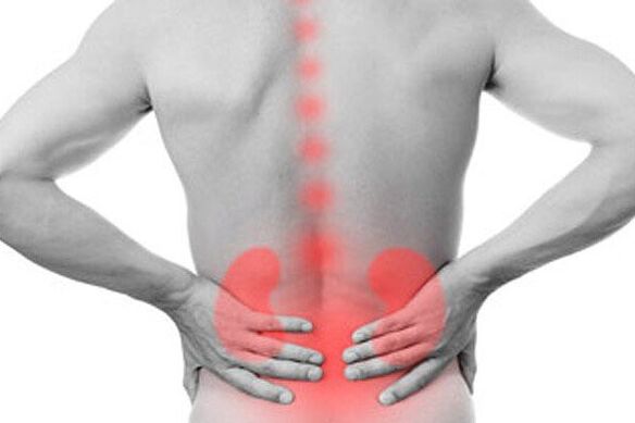 Patológie obličiek môžu vyvolať výskyt bolesti dolnej časti chrbta